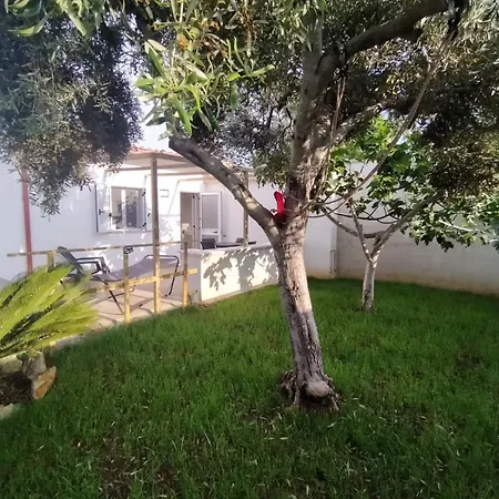 Tafuro * Punta Prosciutto